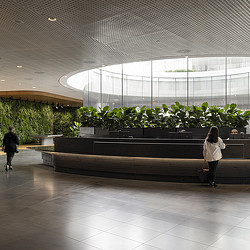 Chevron Perth reception with biophilia